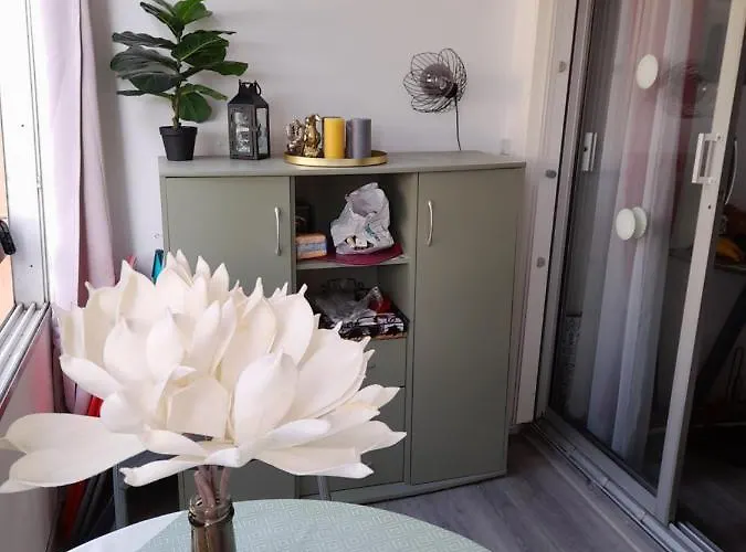 Appartement Avec Loggia