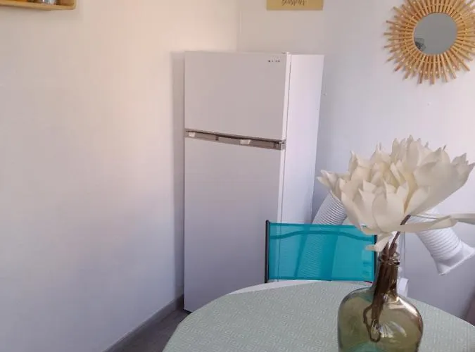 Avec Loggia Appartement *