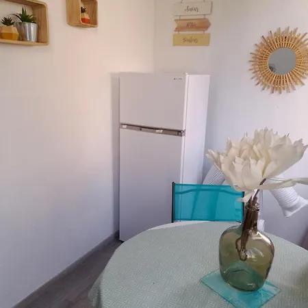 Avec Loggia Appartement *